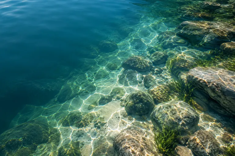 Agua clara de río con luz sobre piedras y vegetación acuática.